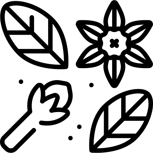 Spices Icon