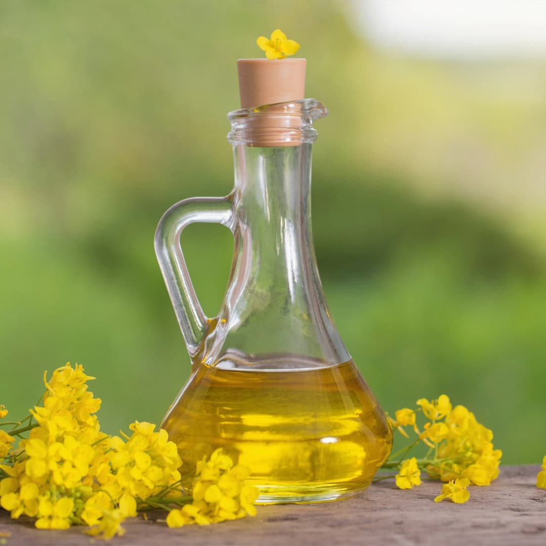 Canola/Rapeseed Oil