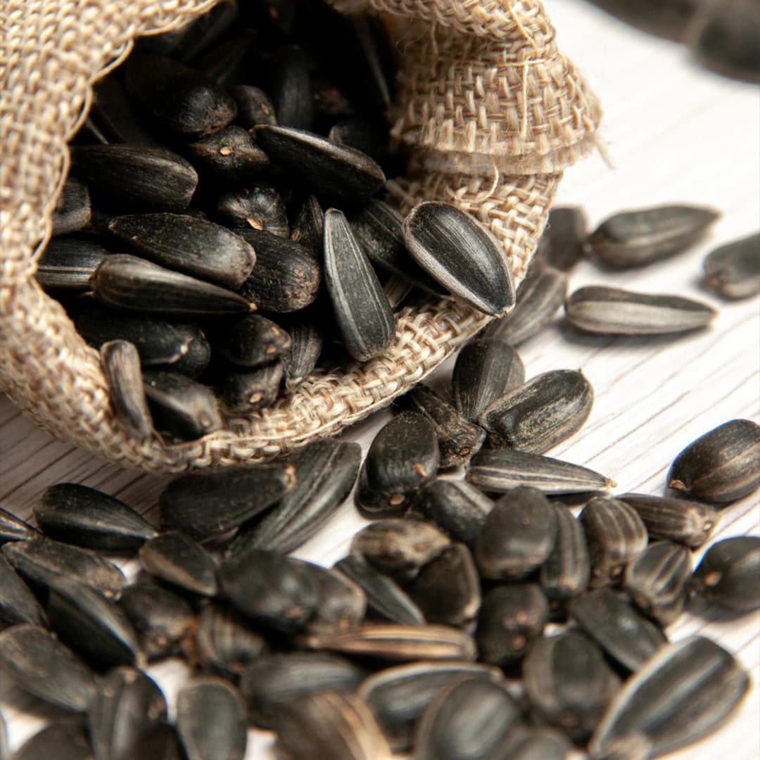 Sunflower Seeds